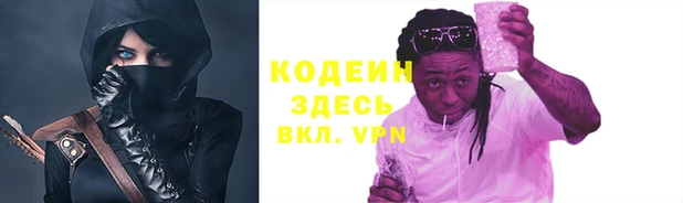 прущие грибы Дмитровск