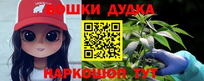 мдпв Абакан